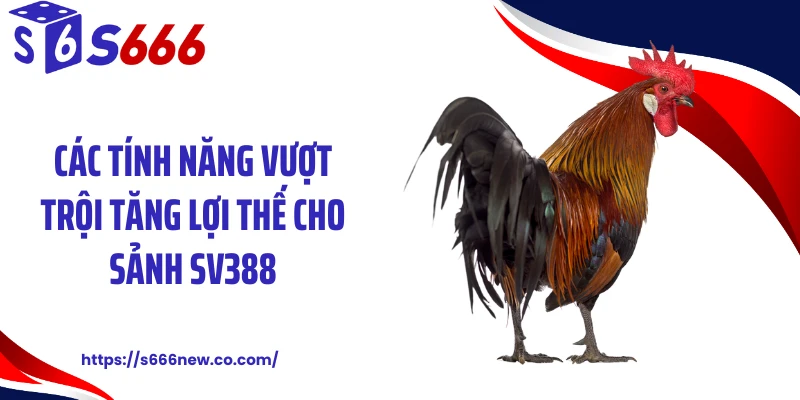 Các tính năng vượt trội tăng lợi thế cho sảnh SV388