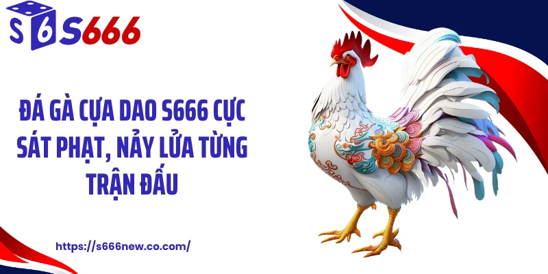 Đá Gà Cựa Dao S666 Cực Sát Phạt, Nảy Lửa Từng Trận Đấu