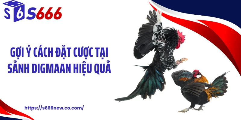 Gợi ý cách đặt cược tại sảnh Digmaan hiệu quả