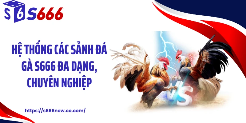 Hệ thống các sảnh đá gà S666 đa dạng, chuyên nghiệp