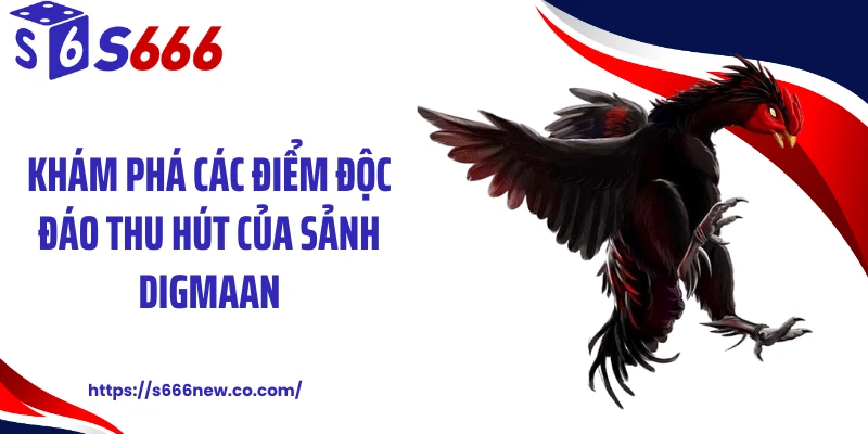 Khám phá các điểm độc đáo thu hút của sảnh Digmaan