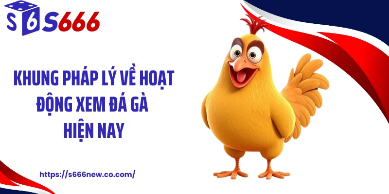 Khung pháp lý về hoạt động xem đá gà hiện nay