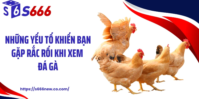 Những yếu tố khiến bạn gặp rắc rối khi xem đá gà