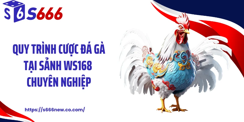 Quy trình cược đá gà tại sảnh WS168 chuyên nghiệp
