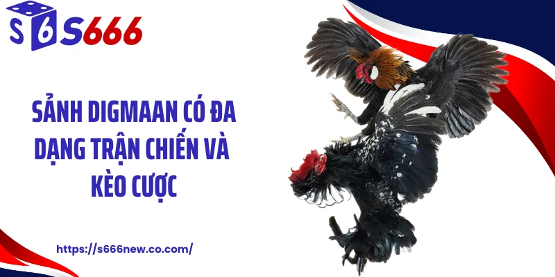 Sảnh Digmaan có đa dạng trận chiến và kèo cược