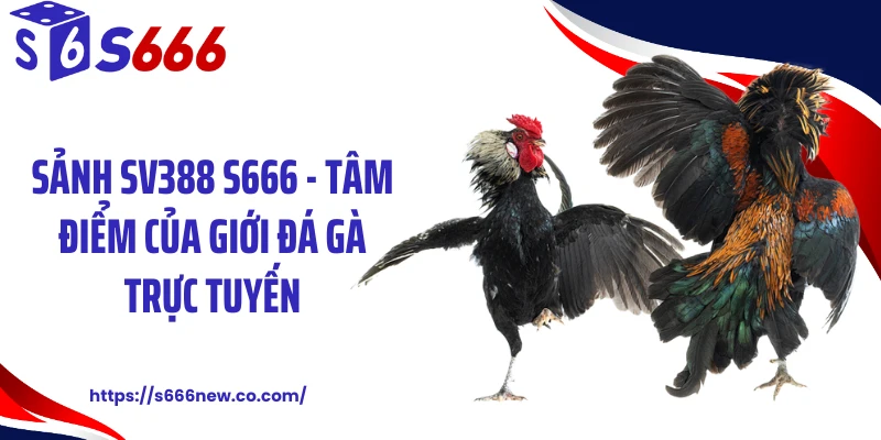 Sảnh SV388 S666 - Tâm Điểm Của Giới Đá Gà Trực Tuyến