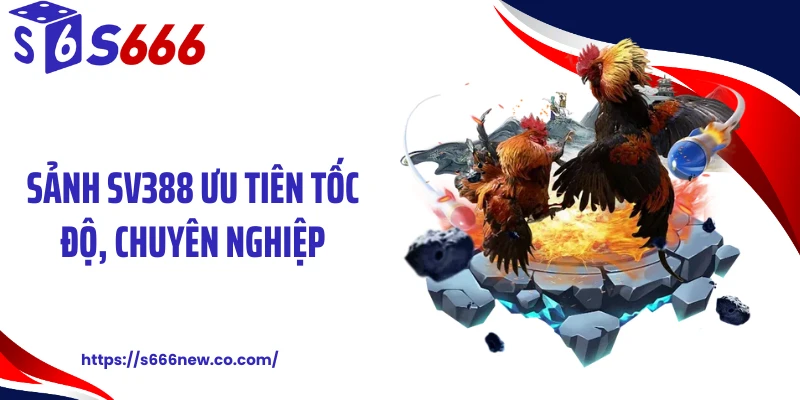 Sảnh SV388 ưu tiên tốc độ, chuyên nghiệp