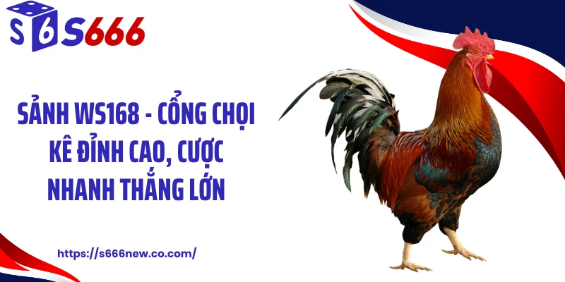 Sảnh WS168 - Cổng Chọi Kê Đỉnh Cao, Cược Nhanh Thắng Lớn