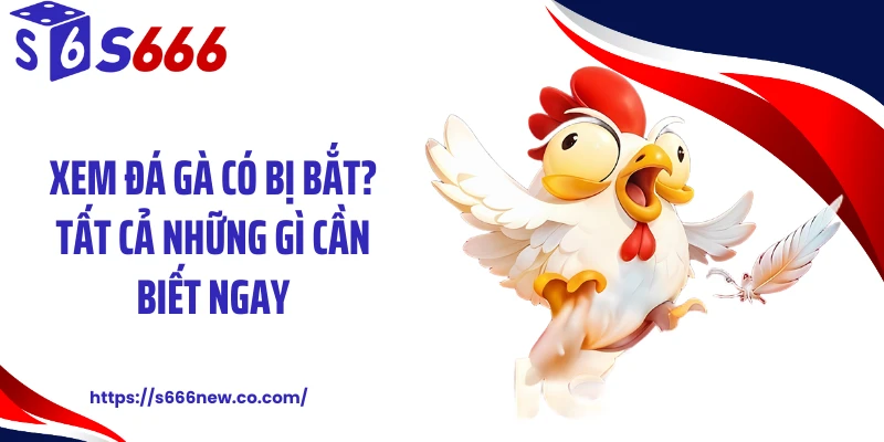 Xem Đá Gà Có Bị Bắt? Tất Cả Những Gì Cần Biết Ngay