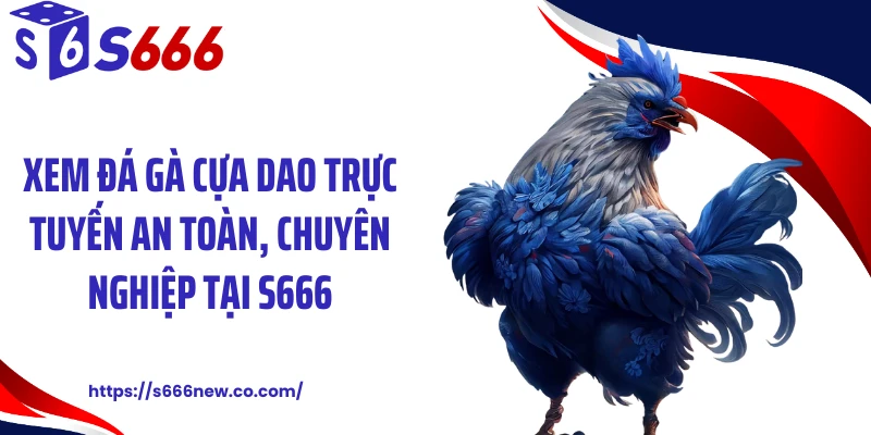 Xem đá gà cựa dao trực tuyến an toàn, chuyên nghiệp tại S666